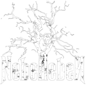 nebelleben