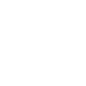 violentvortex